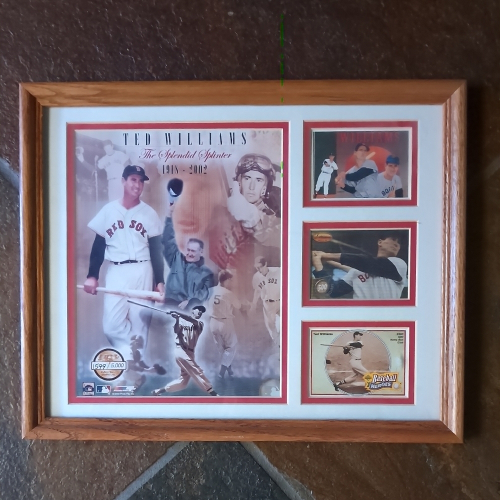 Vintage Ted Williams Framed Matted Display